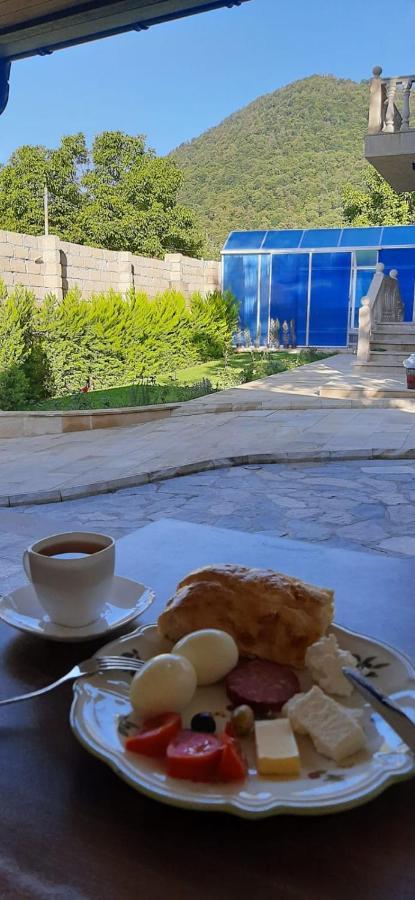 Viva Hotel Gabala With Sauna, Pool, Waterfall And Fireplace Esterno foto